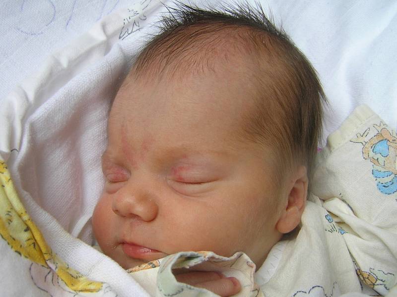 Sára Přibíková, Louny,17. 5. 2008, váha 2,7 kg, míra 47 cm,rodiče Ivana a Miroslav Přibíkovi (porodnice Slaný).