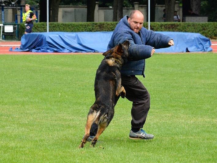 Přes bariéry s policií.