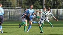 Slovan Kladno - SK Družec 2:1 (0:1), OP -  hráno 5.9.2010