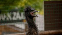 Zoopark Zájezd na Kladensku.