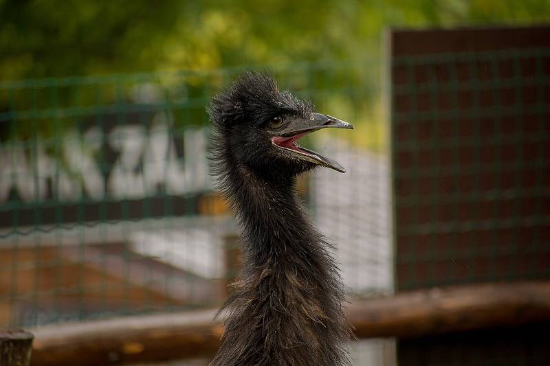 Zoopark Zájezd na Kladensku.