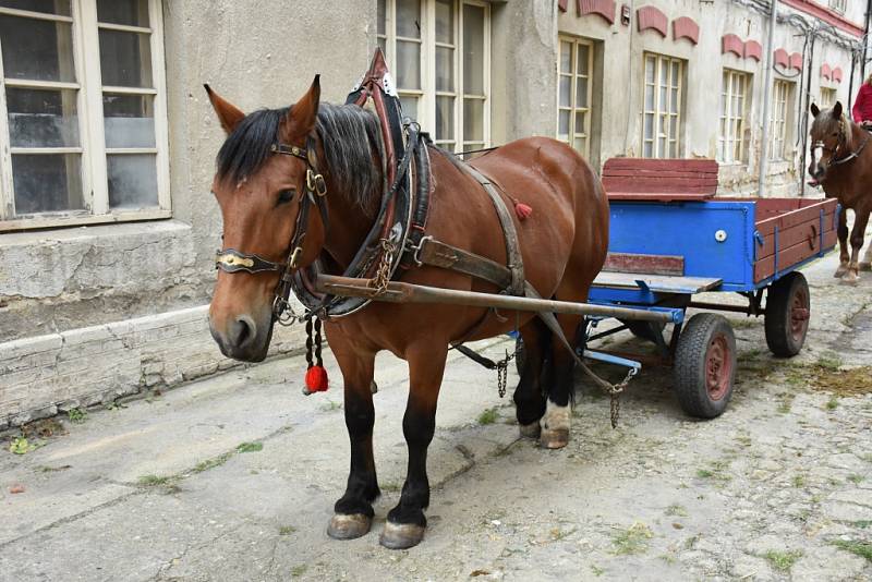 V sobotu se konal ve Skanzenu Mayrau na Kladensku den horníků. 