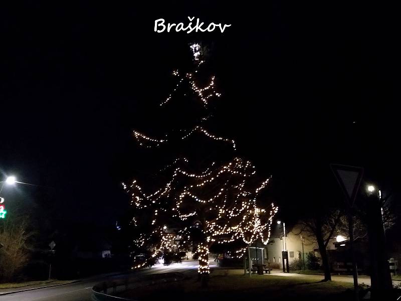 Vánoční strom v obci Braškov.