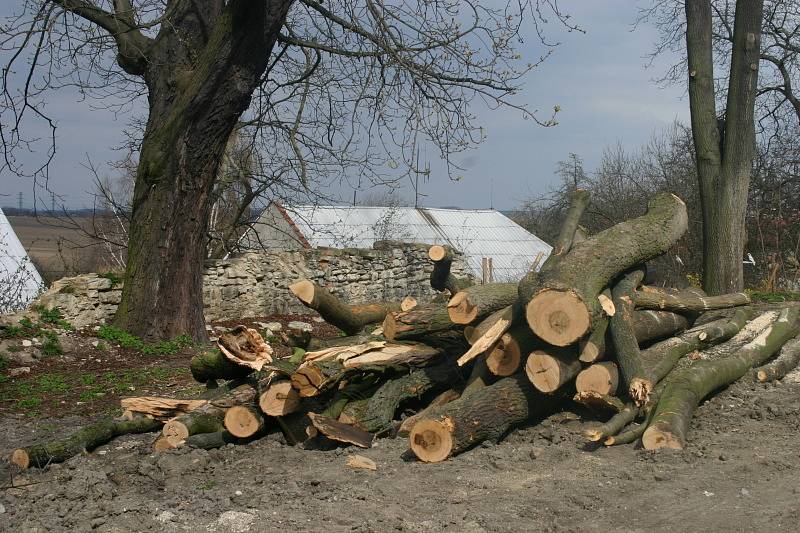 Zámek Buštěhrad, duben 2012