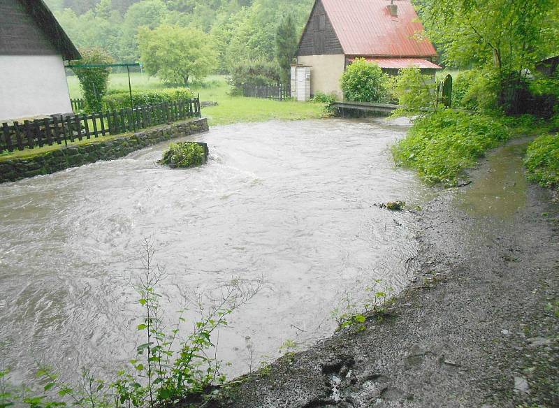 Plecháček 2013.