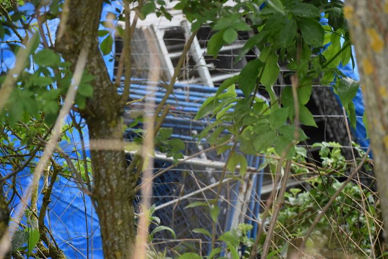 Policisté našli na pozemku nedaleko Kladna čtyři uhynulé tygry. Stopy vedou až na Kutnohorsko.