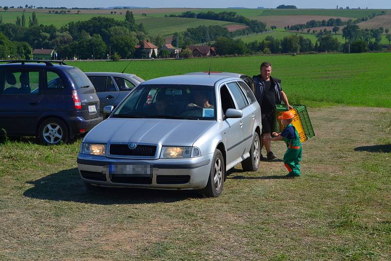 O samosběr cibule přímo z pole je velký zájem, láká cenou i kvalitou.