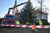 Instalace vánočního stromu z Čeradic ve Slaném na Masarykově náměstí v pátek 3. prosince.