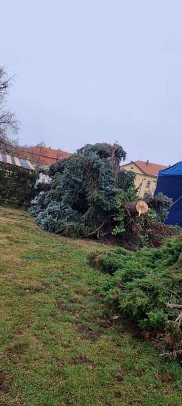 Ve Slaném na náměstí se zřítil vánoční strom.