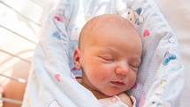 Terezie V. se narodila v nymburské porodnici 20. ledna 2021 ve 2:54 hodin s váhou 3490 g a mírou 49 cm. V Poděbradech bude holčička vyrůstat s maminkou Kateřinou, tatínkem Robertem a sestřičkou Rozálií (4 roky).