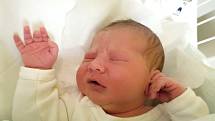 DEA STANEVA, KLADNO. Narodila se 11. prosince 2017. Po porodu vážila 4,06 kg a měřila 52 cm. Rodiče jsou Desislava Staneva a Anton Ugrinov. (porodnice Kladno)