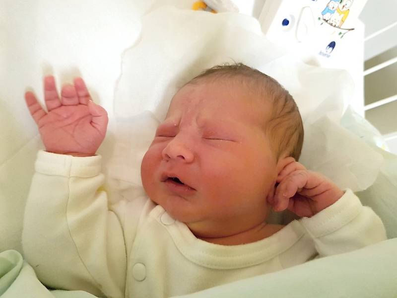 DEA STANEVA, KLADNO. Narodila se 11. prosince 2017. Po porodu vážila 4,06 kg a měřila 52 cm. Rodiče jsou Desislava Staneva a Anton Ugrinov. (porodnice Kladno)