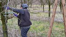 Někteří uprchlíci se na Kladensku už zapojili do práce na farmě.