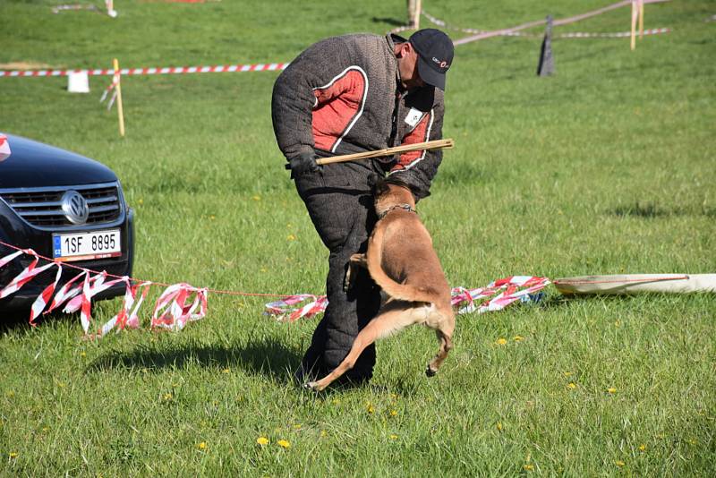 Saharské ringo se konalo v Podlešíně již popáté.