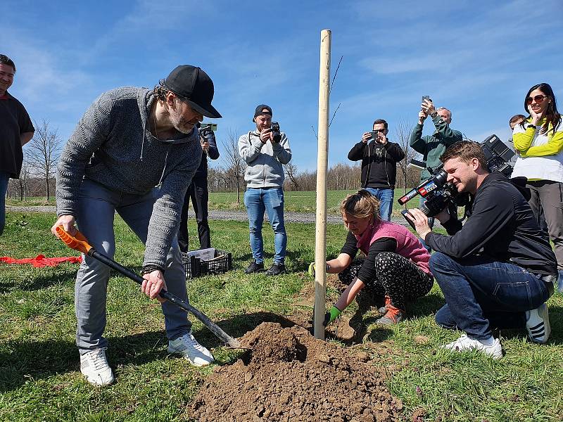 V Bělokách mají novou višňovou alej. Jeden ze stromů zasadil i legendární hokejista Jaromír Jágr.