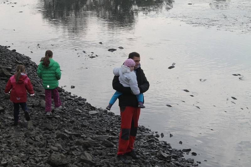 Výlov rybníka U Jelena v Luníkově 2016