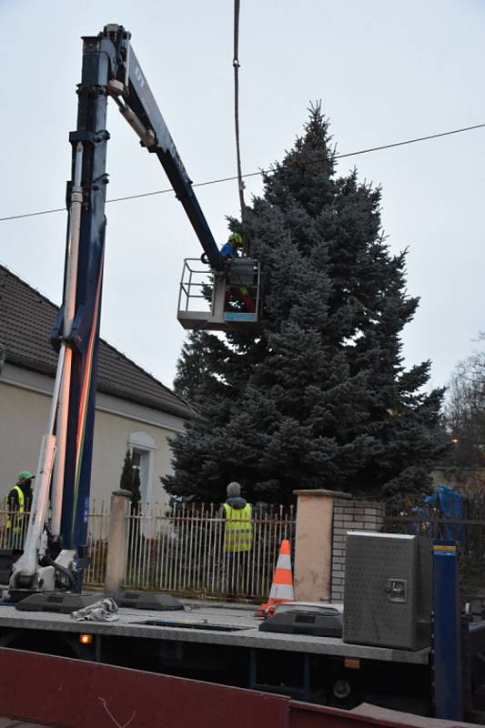 Slánský vánoční strom vyrostl V Ráji.