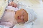 Anna Barochová se narodila 2. ledna 2021 v kolínské porodnici, vážila 4105 g a měřila 50 cm. Do Bělušic si ji odvezl bráška Lukášek (3) a rodiče Michaela a Lukáš.