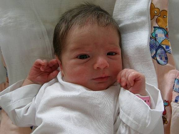 Amálie Čerňanská, 17. 1. 2008, Unhošť, váha 3,18 kg, míra 50 cm, rodiče Jitka a Marcel Čerňanští  (porodnice Kladno).