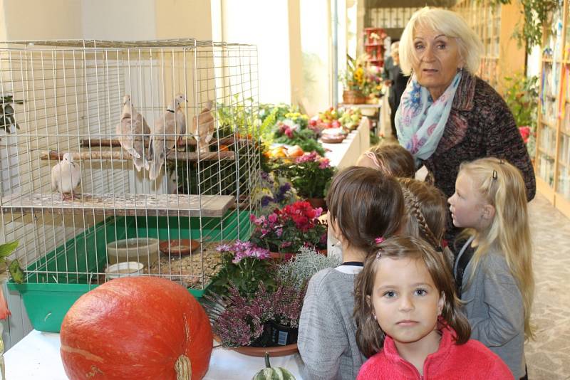 Výstava slánských zahrádkářů v chodbě knihovny V. Štecha