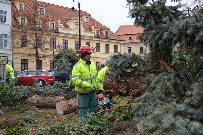 Pád vánočního stromu ve Slaném.