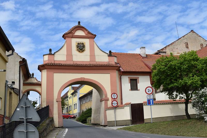 Více než dvě stovky stromů padly ve Vraném patrně bez povolení.