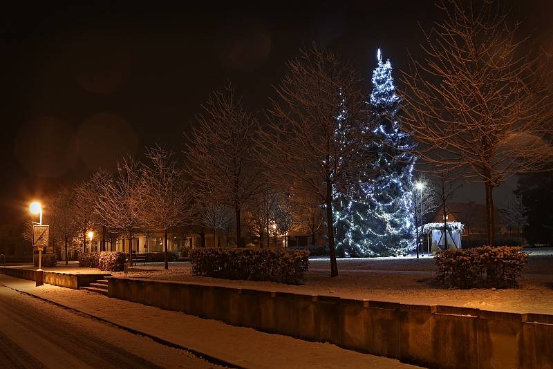 Vánoční strom v obci Lidice.