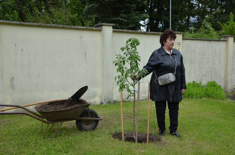 Zahradní slavnost, 21. narozeniny Domova dobré vůle Slunce v Nouzově.