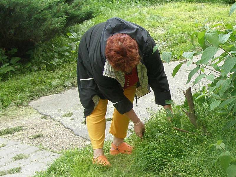 Obyvatelé Havanské ulice musejí zametat neshrabanou trávu, které na botách chodci nanosí do chodeb celé stohy. Navíc po každém dešti ucpává tráva kanály.