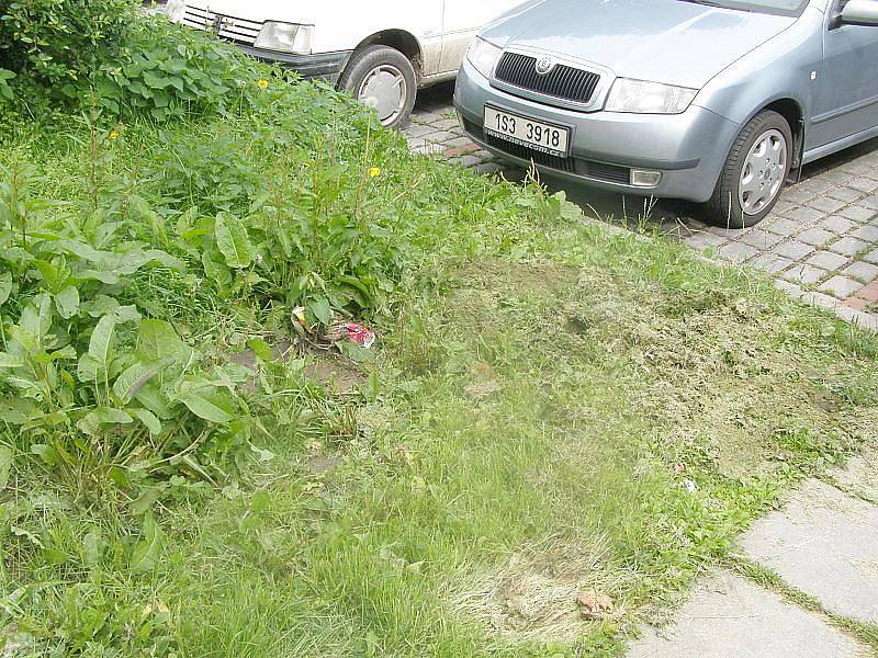 Obyvatelé Havanské ulice musejí zametat neshrabanou trávu, které na botách chodci nanosí do chodeb celé stohy. Navíc po každém dešti ucpává tráva kanály.