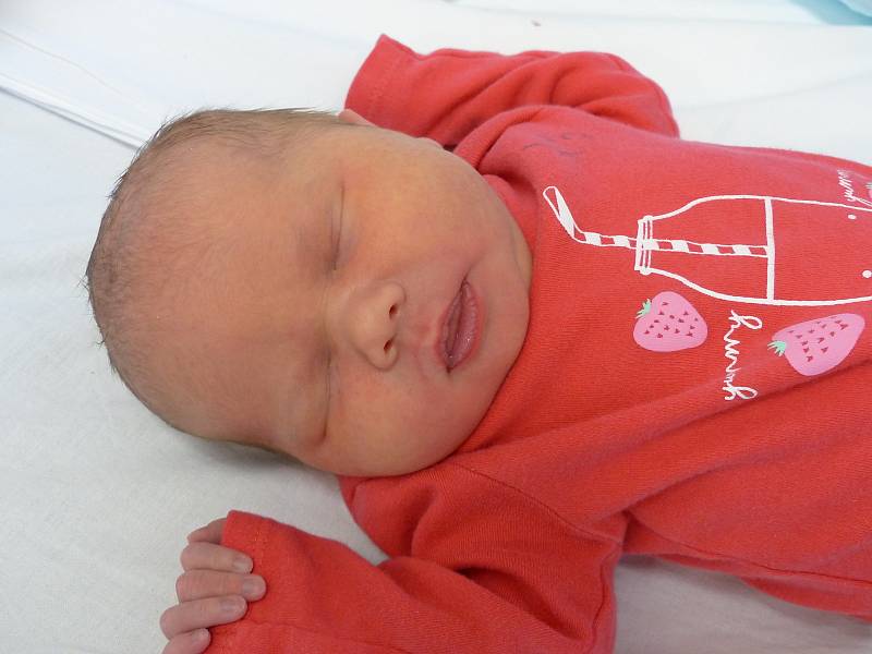 Nikola Růžičková se narodila 2. února 2021 v kolínské porodnici, vážila 3710 g a měřila 50 cm. V Cerhenicích ji přivítala sestřička Natálka (2.5) a rodiče Markéta a Michal.