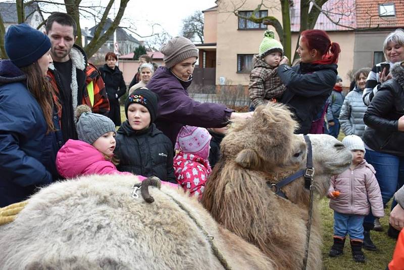 Tříkrálový průvod Kladnem vedený Josefem Františkem S. Králem a členy jezdecké stáje Tvrz Libušín 