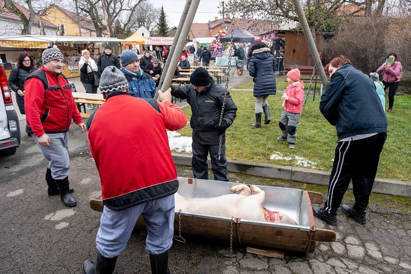 Tradiční masopust a zabijačka v Máslovicích.