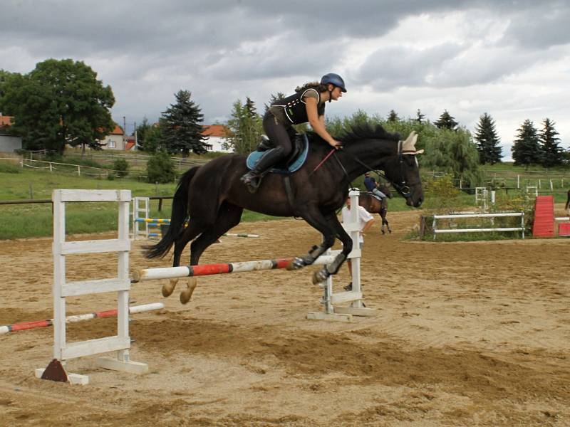 Jezdecký areál v Černuci s vnějším kolbištěm, osvětlenou jízdárnou a halou nabízí kvalitní podmínky jak pro rekreační ježdění, tak i pro přípravu skokových a drezurních koní.