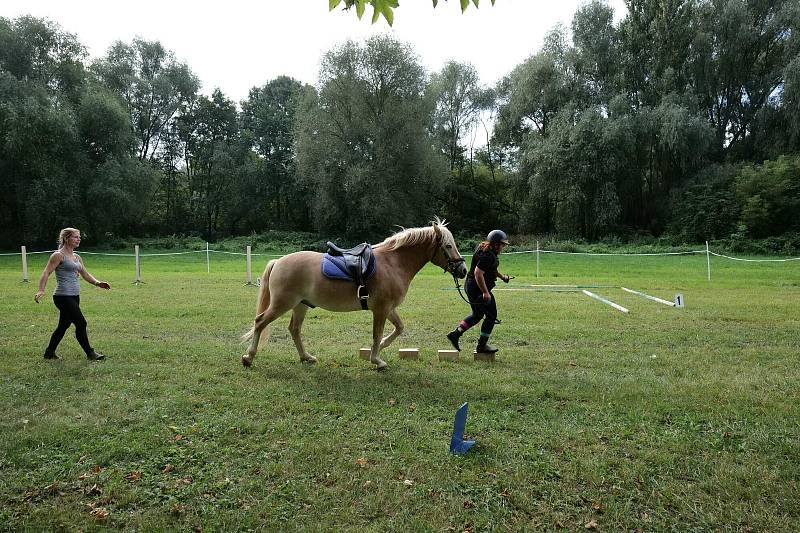 Tradiční sportovní víkend s koňmi se konal v Drchkově.