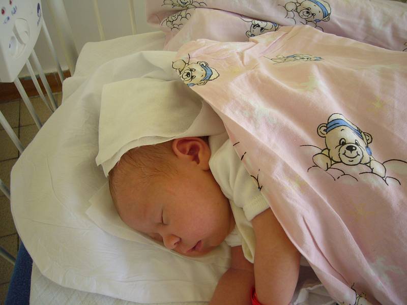 Tereza Horká, Velvary. Narodila se 1. srpna 2012, váha 3,320 kg, míra 49 cm. Rodiče jsou Lenka a Kamil Horkých. (porodnice Kladno)
