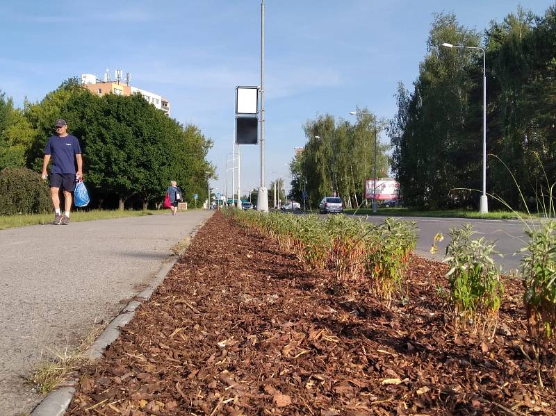 V Kročehlavech probíhají aktuálně přípravy na vybudování dvou kruhových objezdů financovaných městem. A rušno je i v lokalitě na Růžovém poli, kde soukromý investor staví Globus.