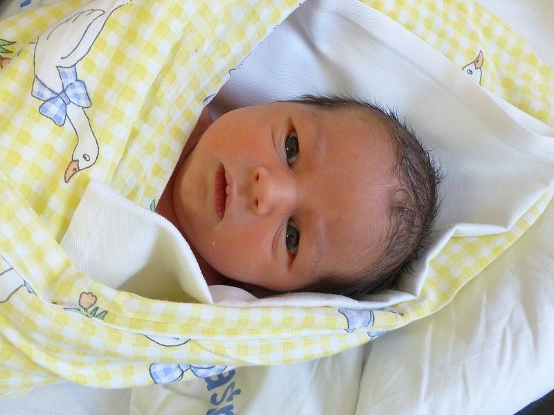 Olga Šobrová se narodila 2. února 2021 v kolínské porodnici, vážila 2530 g a měřila 46 cm. V Kolíně ji přivítali sourozenci Sára (14), Samuel (14), Dominik (18 měsíců), Erika (8 měsíců) a rodiče Erika a Zdeno.