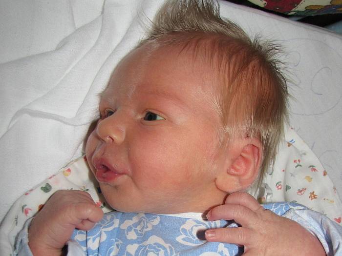 Samuel Ševčík, Louny, 20.9. 2008, váha 3,48 kg, 52 cm, rodiče Anna Marková a Jiří Ševčík  (porodnice Slaný).