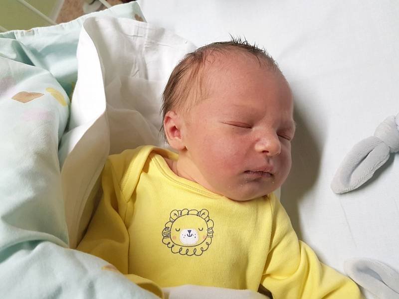 ANETA HOLÁ, ROZTOKY. Narodila se 11. prosince 2017. Po porodu vážila 3,16 kg a měřila 48 cm. Rodiče jsou Barbora Havelková a Michal Holý. (porodnice Kladno)