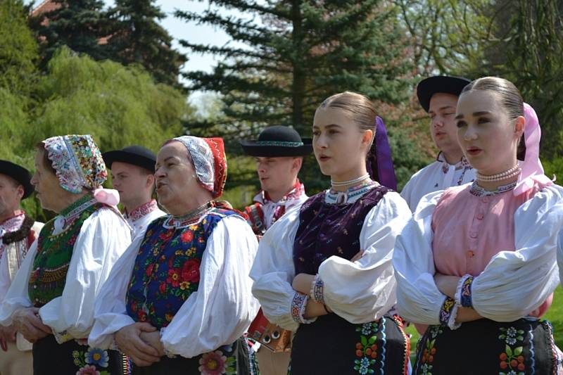 Ze středočeského folklorního festivalu Tuchlovická pouť.