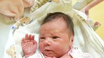 ŠTĚPÁNKA VOLRÁBOVÁ, KLOBUKY. Narodila se 26. března 2018. Po porodu vážila 2,37 kg a měřila 46 cm. Rodiče jsou Monika Linhartová a Libor Volráb. (porodnice Slaný)