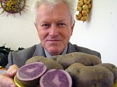 Josef Jandík na výstavě zahrádkářů představuje mimo jiné zvláštní fialové brambory. 