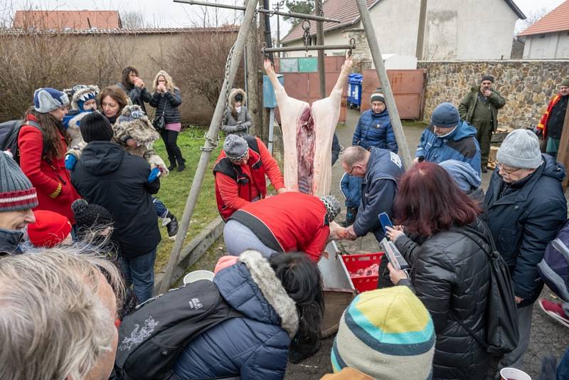 Tradiční masopust a zabijačka v Máslovicích.