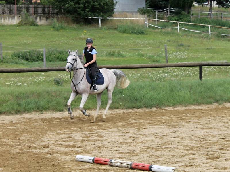 Jezdecký areál v Černuci s vnějším kolbištěm, osvětlenou jízdárnou a halou nabízí kvalitní podmínky jak pro rekreační ježdění, tak i pro přípravu skokových a drezurních koní.