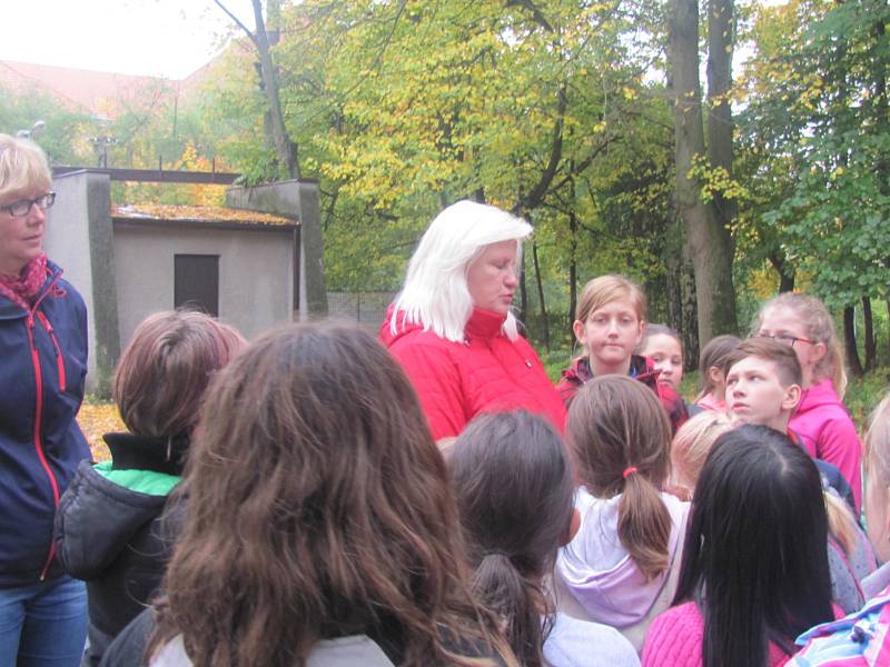 Slánský lesopark Háje se proměnil na běžeckou trasu pro malé i větší běžce.