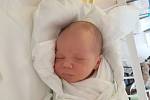 EDUARD HOŠEK, NOVÉ STRAŠECÍ. Narodil se 28. listopadu 2017. Po porodu vážil 3,79 kg a měřil 51 cm. Rodiče jsou Alena Hošková a Petr Hošek. (porodnice Kladno)