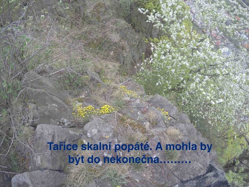 Zamýšlená trasa via ferrata na Slánské hoře