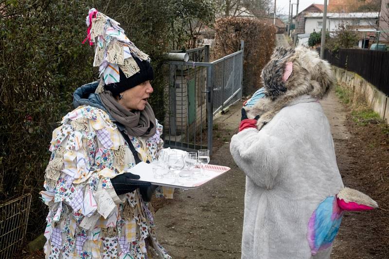 Tradiční masopust a zabijačka v Máslovicích.