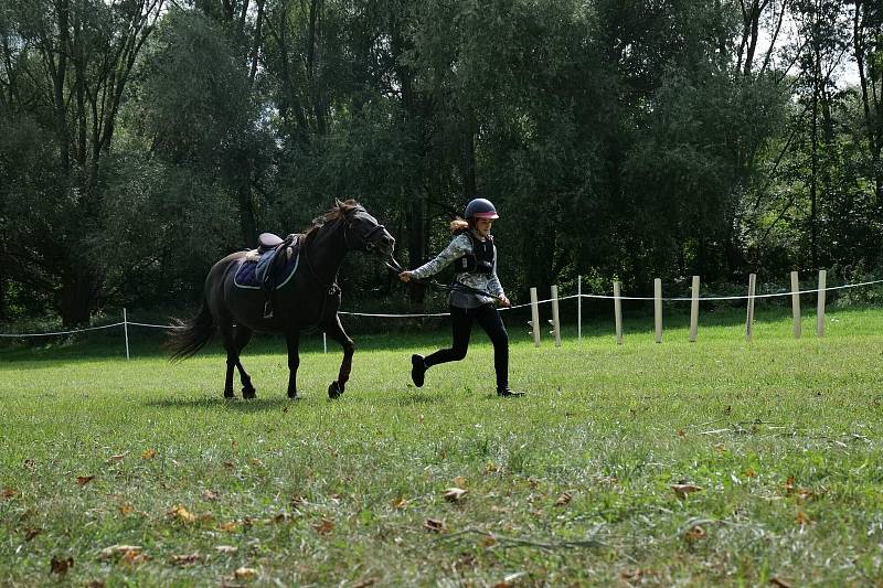 Tradiční sportovní víkend s koňmi se konal v Drchkově.